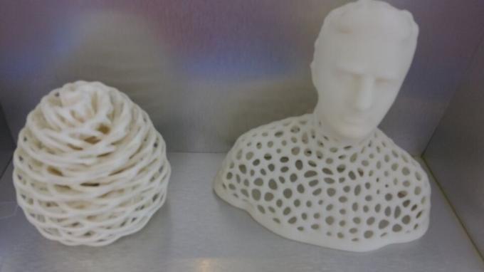 Aangepaste Witte Nylon Delen met Dienst van de Hoge Precisiesls 3D Druk